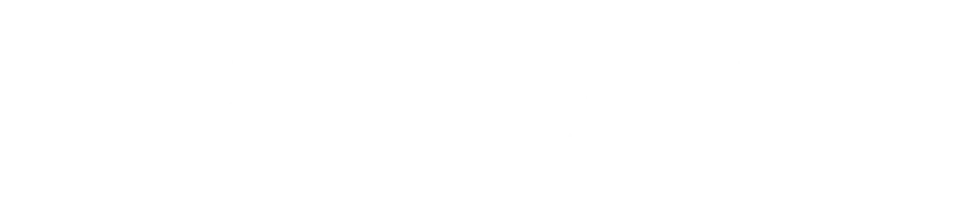 Nestruction Studios